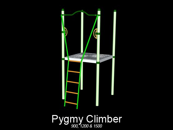 Pygmy Climber