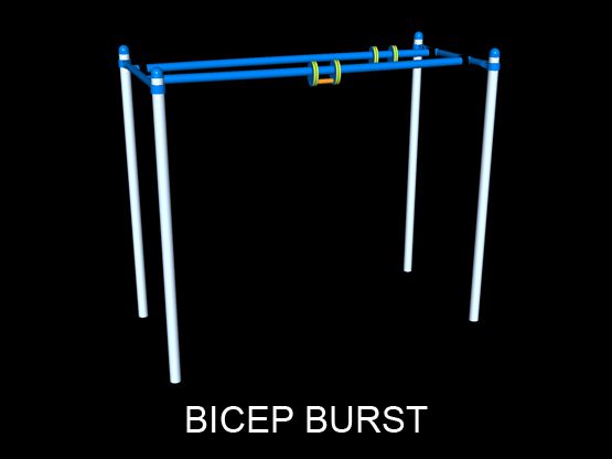 Bicep Burst Barz