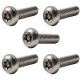 Torx Security Bolt