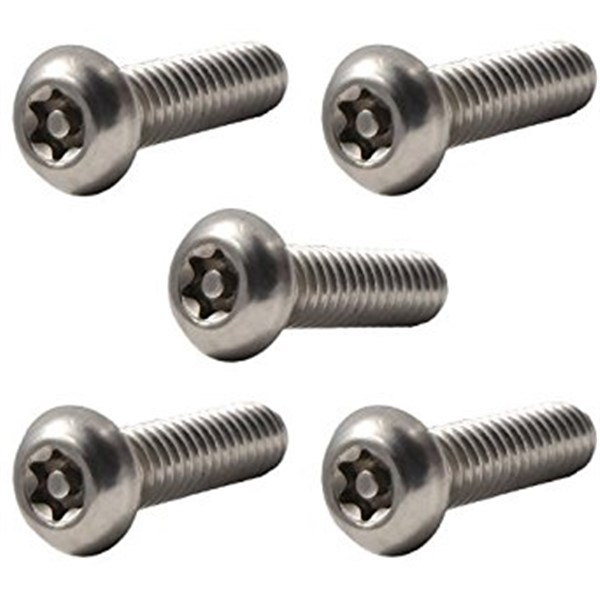 Torx Security Bolt