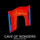 Cave of Wonders Panel