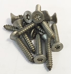 Torx Security Screw