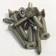 Torx Security Screw